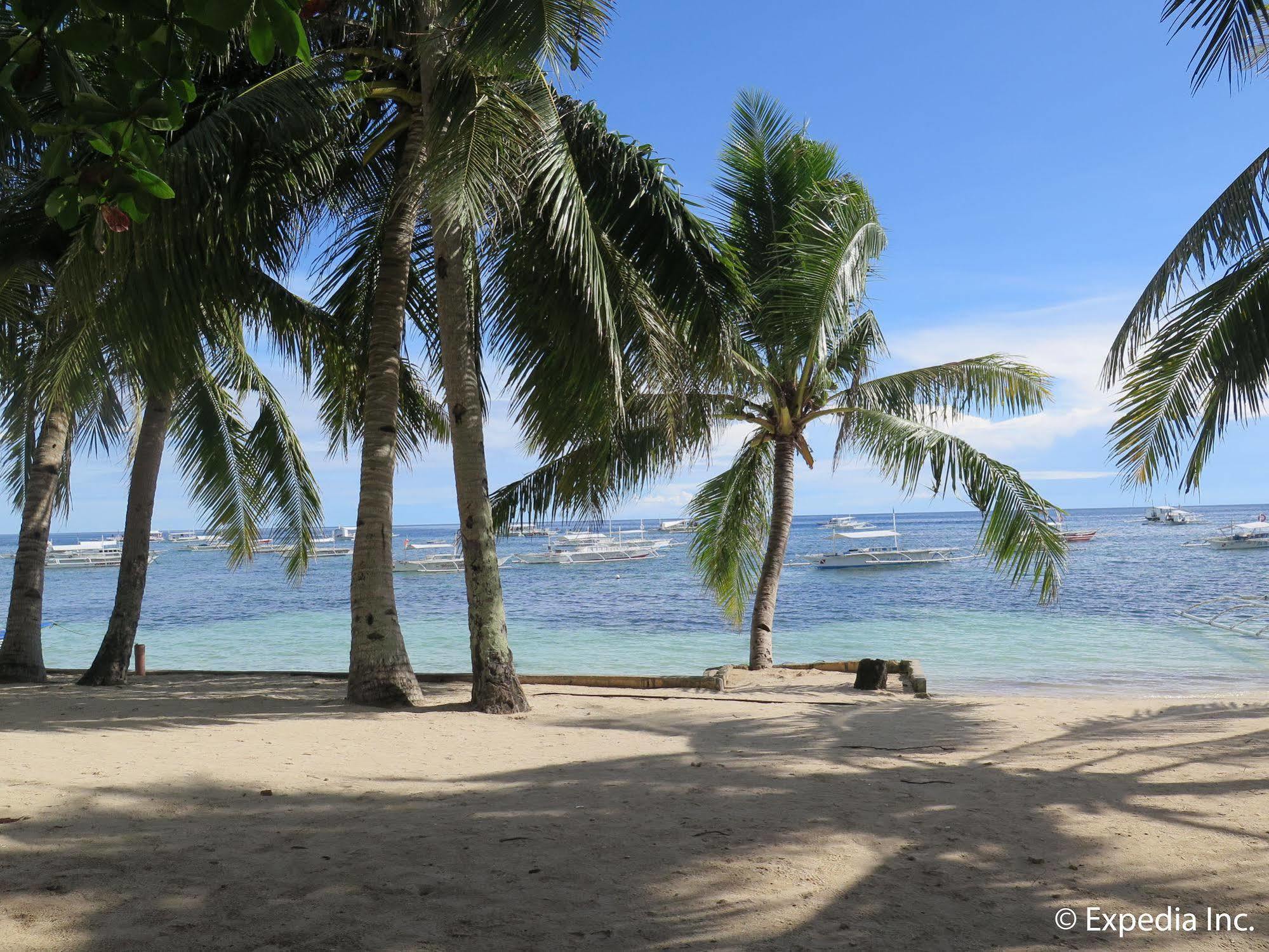 Bohol Divers Resort Totolan Zewnętrze zdjęcie